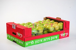 מגש 16 פתוח כבד שוק מקומי (הגדל)