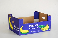 מגש בננות פינות (הגדל)