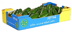 מגש 10 אבוקדו (הגדל)