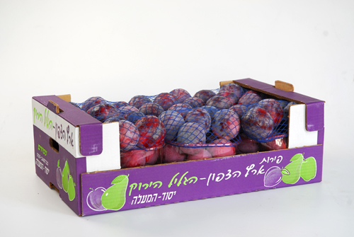 מגש 14 פתוח מוקם שוק מקומי